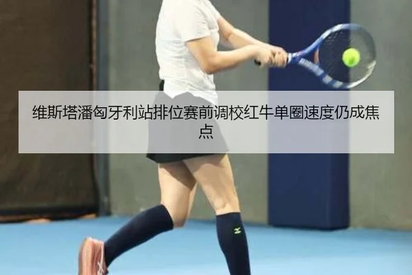 维斯塔潘匈牙利站排位赛前调校红牛单圈速度仍成焦点